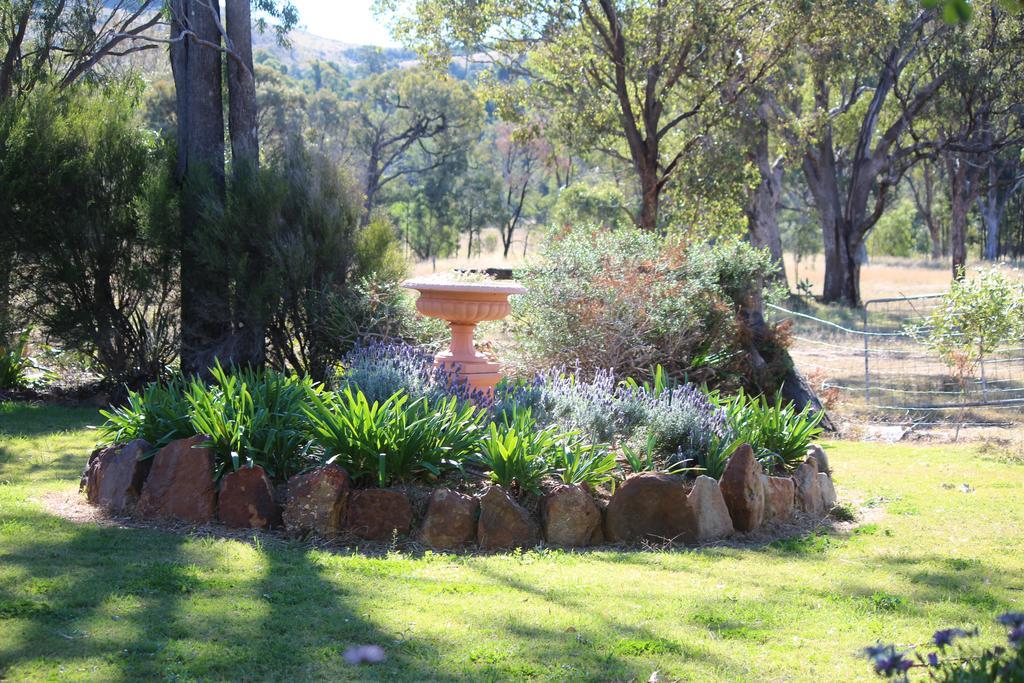 Rosebank Homestead And Farmstay Дэлби Экстерьер фото
