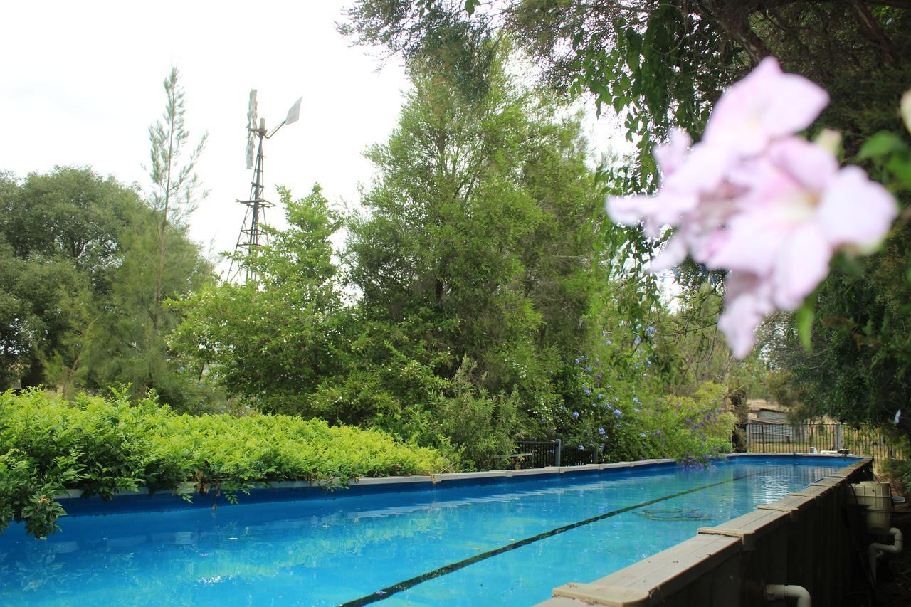 Rosebank Homestead And Farmstay Дэлби Экстерьер фото